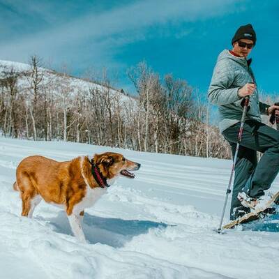 Uncharted Supply Co. Wolf Pack Collar